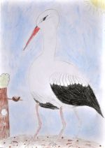 Zboinský Matúš.jpg